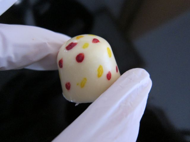 Praline Coconut Kiss